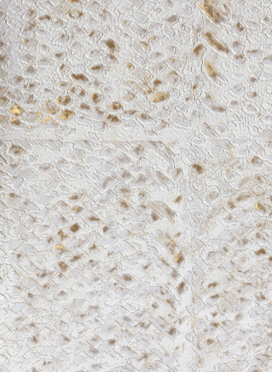 Tapete Laca Salvaje von Elitis - Silber/ Gold-7145.3 Tapete Laca Salvaje von Elitis - Silber/ Gold-7145.3