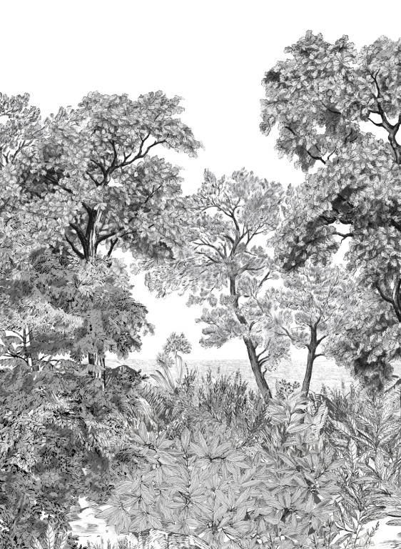 Isidore Leroy Papier peint panoramique Foret de Bretagne Grisaille-7238 Isidore Leroy Papier peint panoramique Foret de Bretagne Grisaille-7238