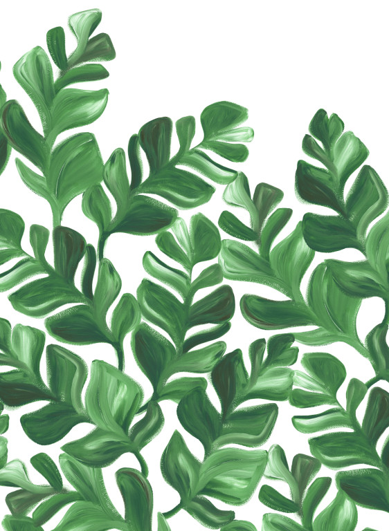 Isidore Leroy Carta da parati panoramica Pacifico XL Vert-7249 Isidore Leroy Carta da parati panoramica Pacifico XL Vert-7249