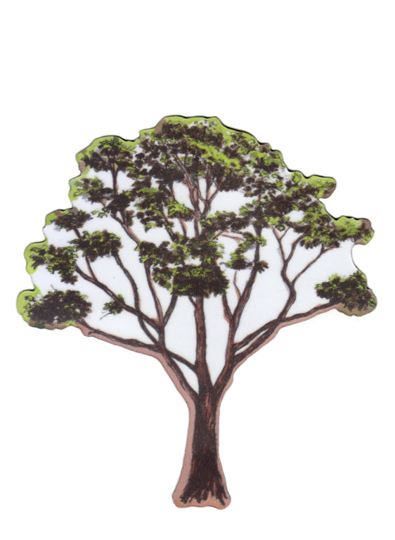 Sian Zeng Magnet Tree-7336 Sian Zeng Magnet Tree-7336