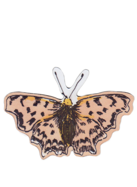 Sian Zeng Magnet Peach Moth-7339 Sian Zeng Magnet Peach Moth-7339
