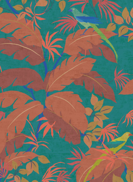 Nobilis Wallpaper Sur un Arbre Perche-7357 Nobilis Wallpaper Sur un Arbre Perche-7357