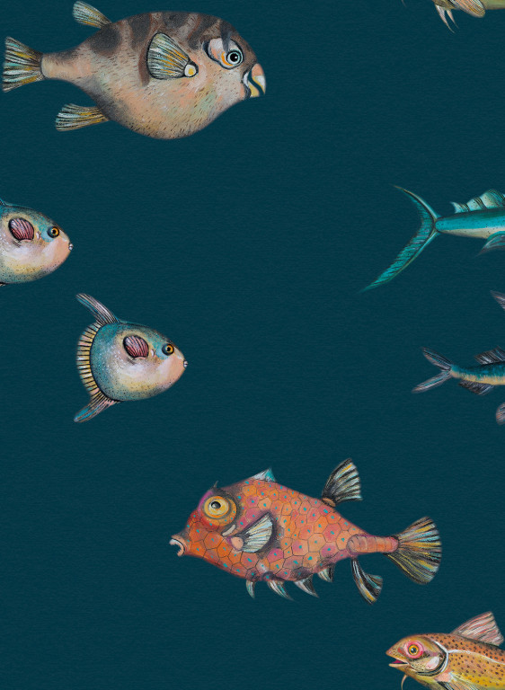 Coordonne Tapete Peces Santamans - 8000044N-7403.1