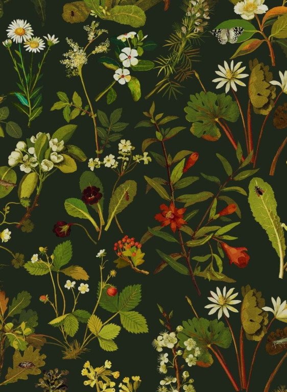 House of Hackney Tapete Herbarium-7457 House of Hackney Tapete Herbarium-7457