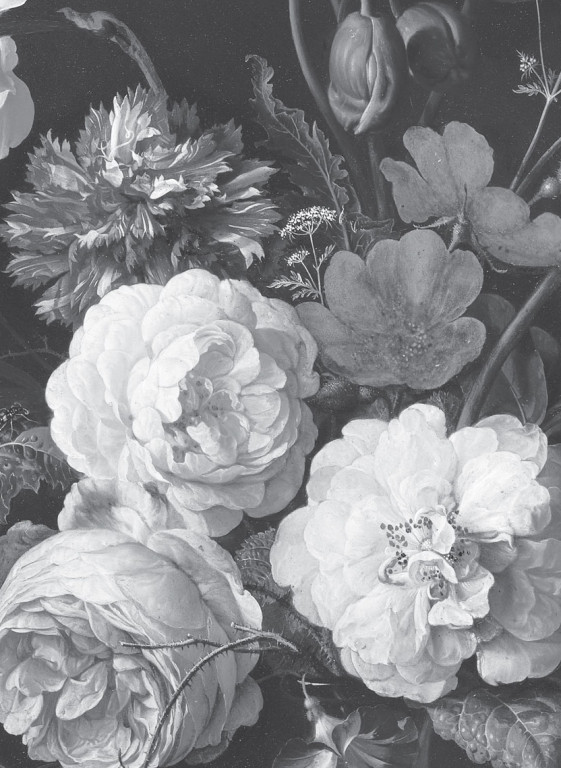 KEK Amsterdam Papier peint panoramique Golden Age Flowers 6-7505 KEK Amsterdam Papier peint panoramique Golden Age Flowers 6-7505