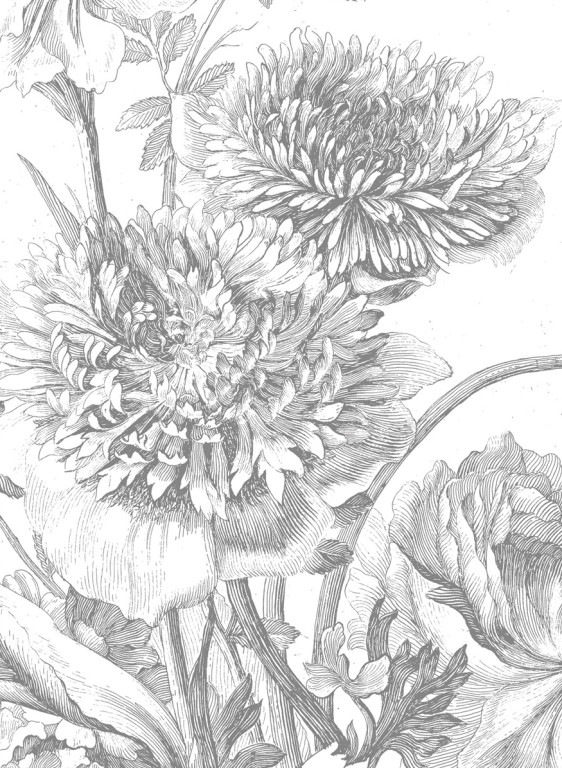 KEK Amsterdam Wandbild Engraved Flowers 3 - 3.896m-7513.3 KEK Amsterdam Wandbild Engraved Flowers 3 - 3.896m-7513.3