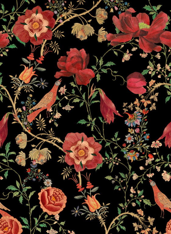 Mindthegap Papier peint Transsilvaniae Florilegium-7539 Mindthegap Papier peint Transsilvaniae Florilegium-7539