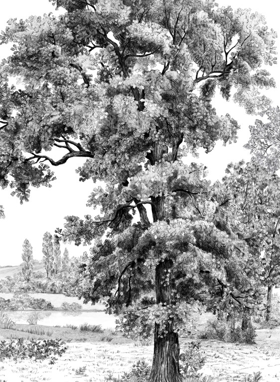 Isidore Leroy Papier peint panoramique Domaniale-7682 Isidore Leroy Papier peint panoramique Domaniale-7682