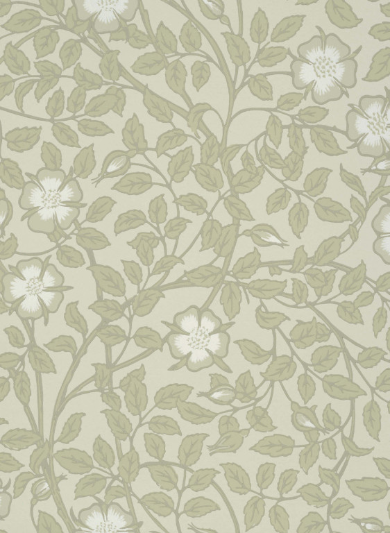 Little Greene Wallpaper Briar Rose-7704 Little Greene Wallpaper Briar Rose-7704