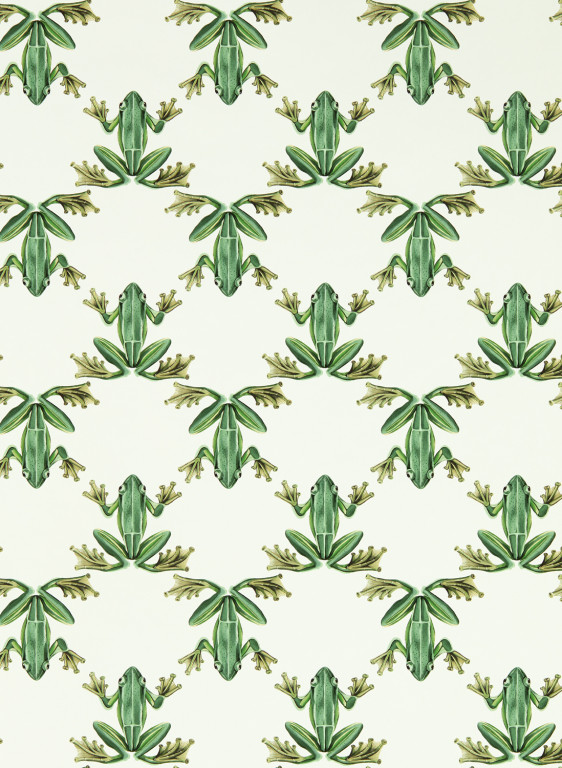 Harlequin Wallpaper Wood Frog-7714 Harlequin Wallpaper Wood Frog-7714