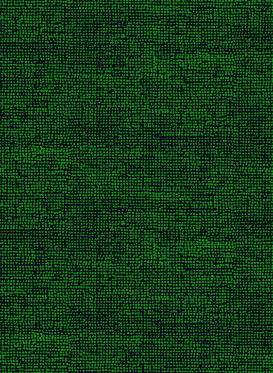 Marimekko Papier peint Orkanen-7788 Marimekko Papier peint Orkanen-7788