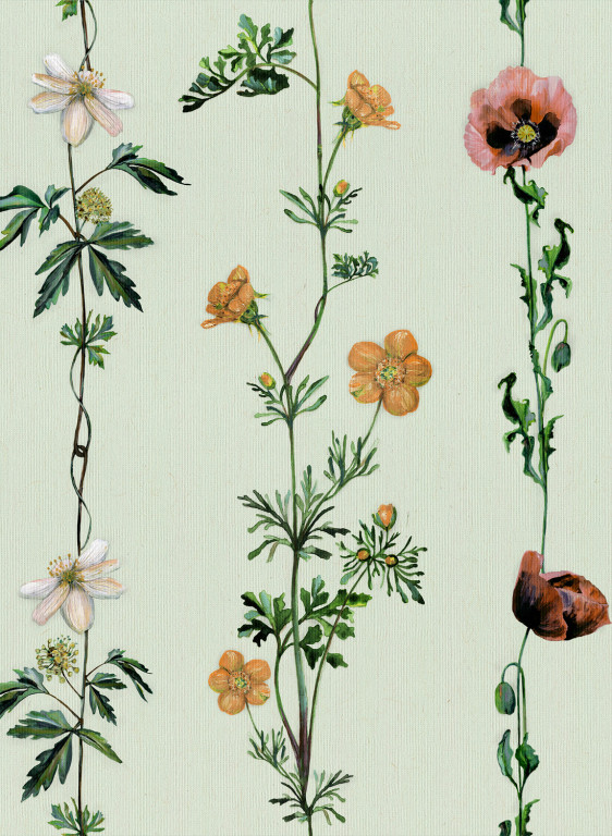Coordonne Tapete Climbing Flowers-8505 Coordonne Tapete Climbing Flowers-8505