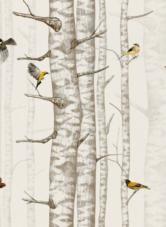 Coordonne Wallpaper Birch Trees Beige-8506.2 Coordonne Wallpaper Birch Trees Beige-8506.2