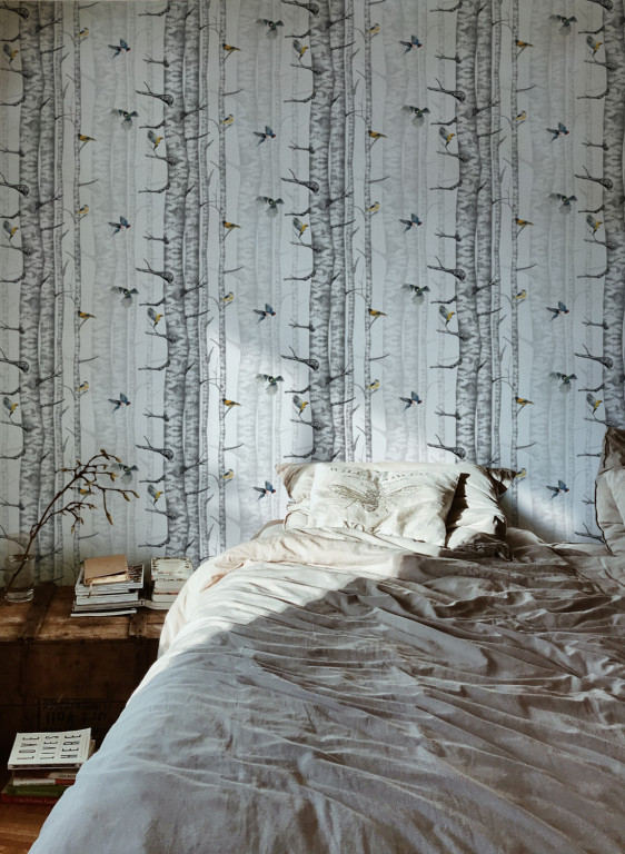 Coordonne Papier peint Birch Trees-8506 Coordonne Papier peint Birch Trees-8506