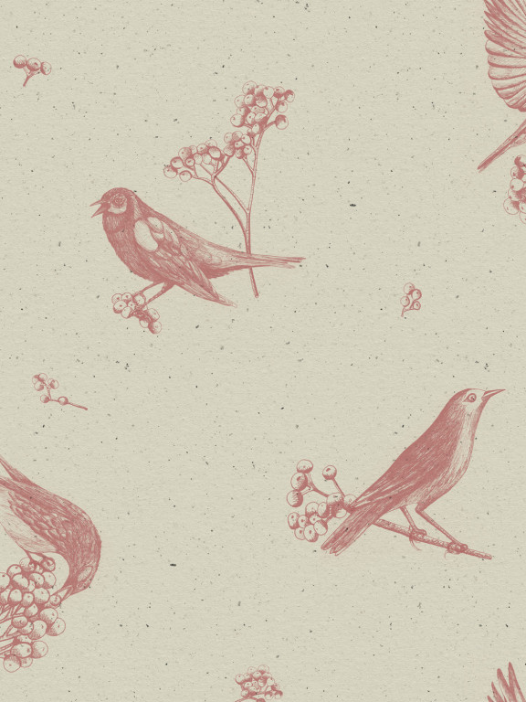 Coordonne Papier peint Sweet Birds - Papirus-8507.1 Coordonne Papier peint Sweet Birds - Papirus-8507.1