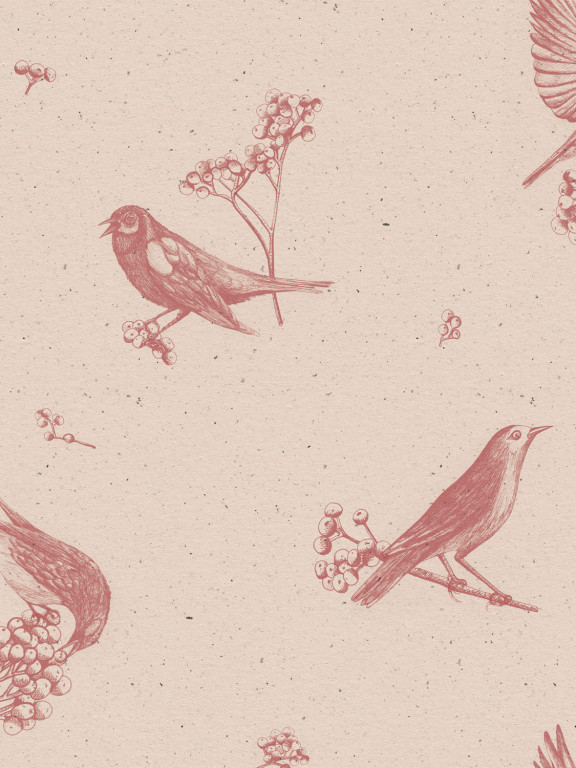 Coordonne Tapete Sweet Birds - Rose-8507.2