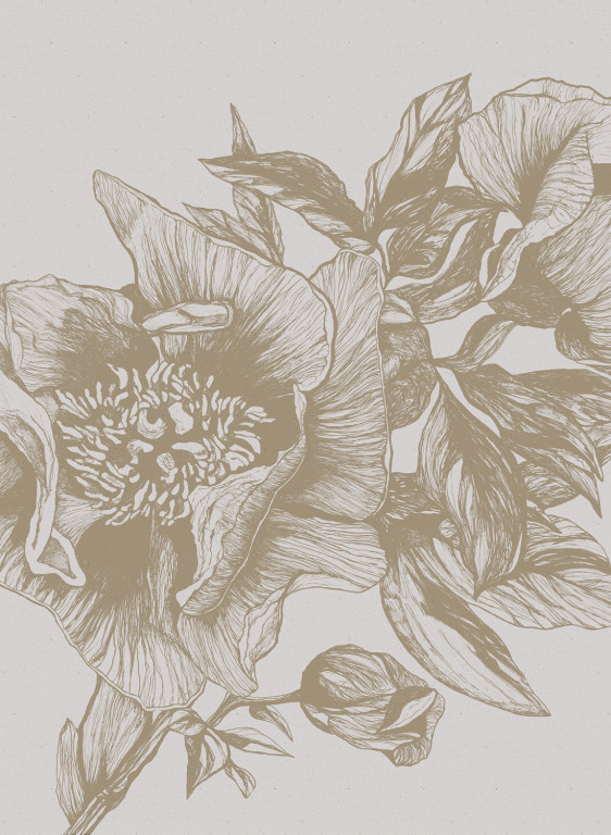 Coordonne Wandbild Giant Peonies - Papirus-8514.2