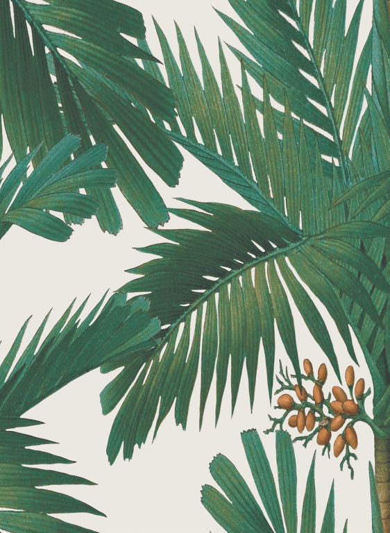Rebel Walls Papier peint Palm Spring-8597 Rebel Walls Papier peint Palm Spring-8597