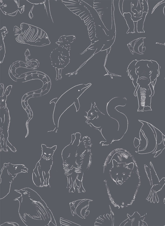 Coordonne Papier peint Zoology-8836 Coordonne Papier peint Zoology-8836