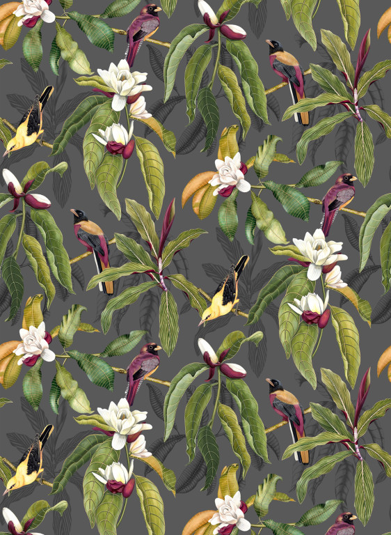 Osborne & Little Papier peint Michelia - Charcoal-8839.1