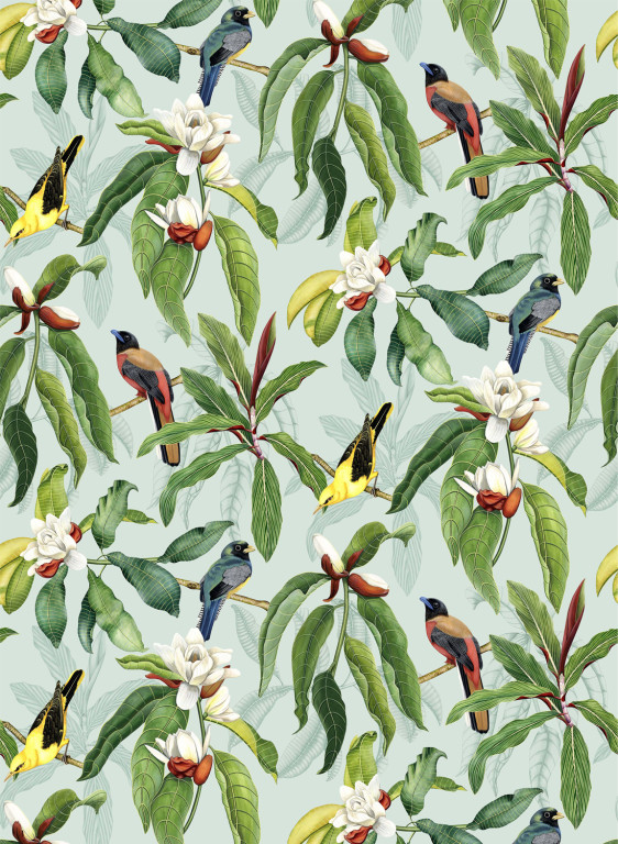 Osborne & Little Carta da parati Michelia-8839 Osborne & Little Carta da parati Michelia-8839