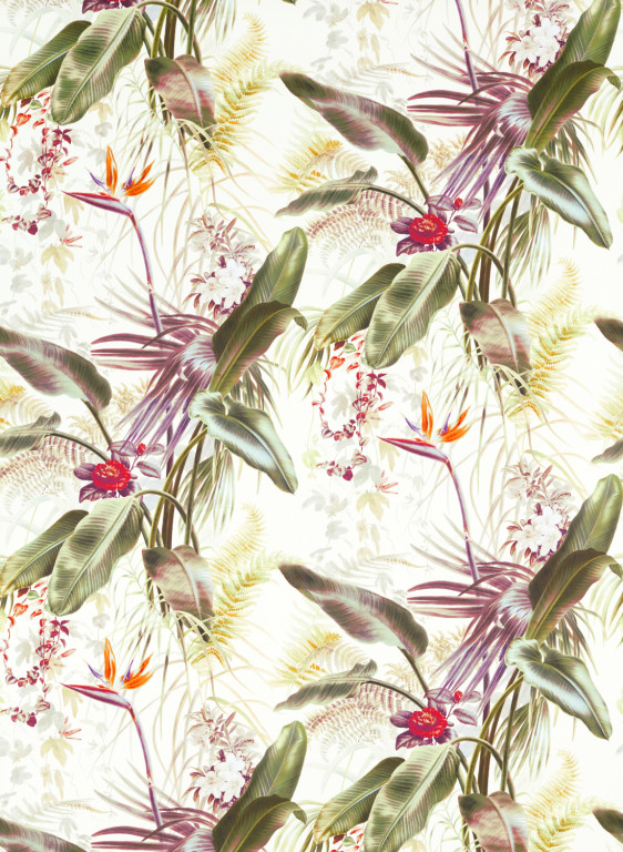 Zoffany Papier peint Paradise Row-8867 Zoffany Papier peint Paradise Row-8867