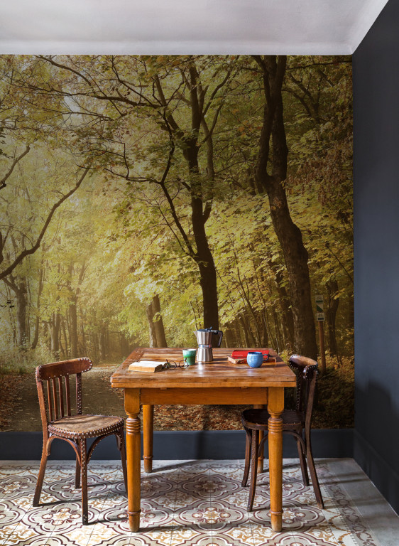 Coordonne Papier peint panoramique Woods October Path-9035 Coordonne Papier peint panoramique Woods October Path-9035