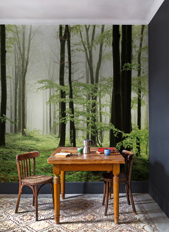 Coordonne Papier peint panoramique Woods Summer Path-9036 Coordonne Papier peint panoramique Woods Summer Path-9036