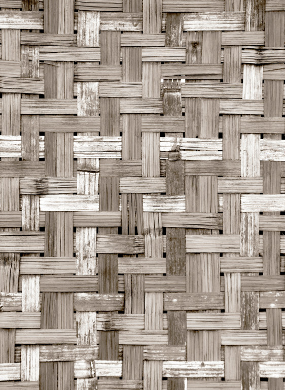 Coordonne Papier peint panoramique Palm Tree Frame-9053 Coordonne Papier peint panoramique Palm Tree Frame-9053