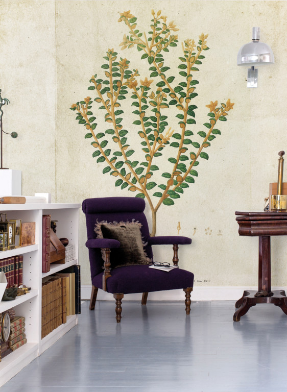 Coordonne Papier peint panoramique Botanical Drawing-9060 Coordonne Papier peint panoramique Botanical Drawing-9060