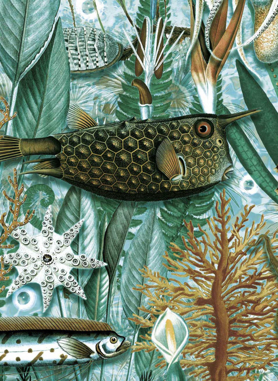 KEK Amsterdam Carta da parati Underwater Jungle 6-9162 KEK Amsterdam Carta da parati Underwater Jungle 6-9162