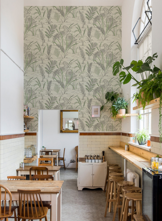 Coordonne Papier peint Lake Cane-9272 Coordonne Papier peint Lake Cane-9272