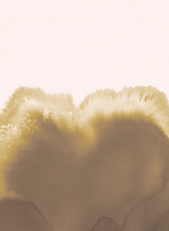 Coordonne Papier peint panoramique Coral Reefs-9283 Coordonne Papier peint panoramique Coral Reefs-9283