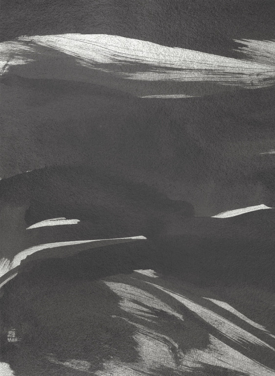 Coordonne Papier peint Marine Xray Metallics-9288 Coordonne Papier peint Marine Xray Metallics-9288