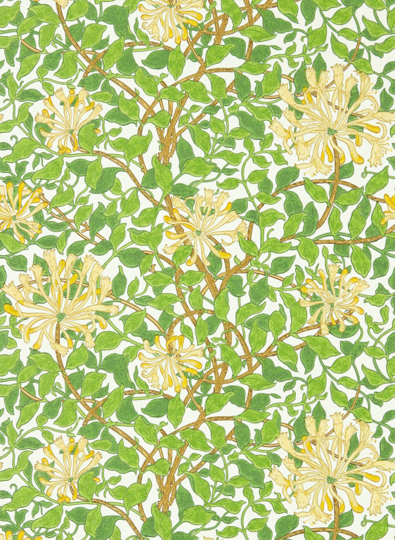 Morris & Co Wallpaper Honeysuckle-9346 Morris & Co Wallpaper Honeysuckle-9346