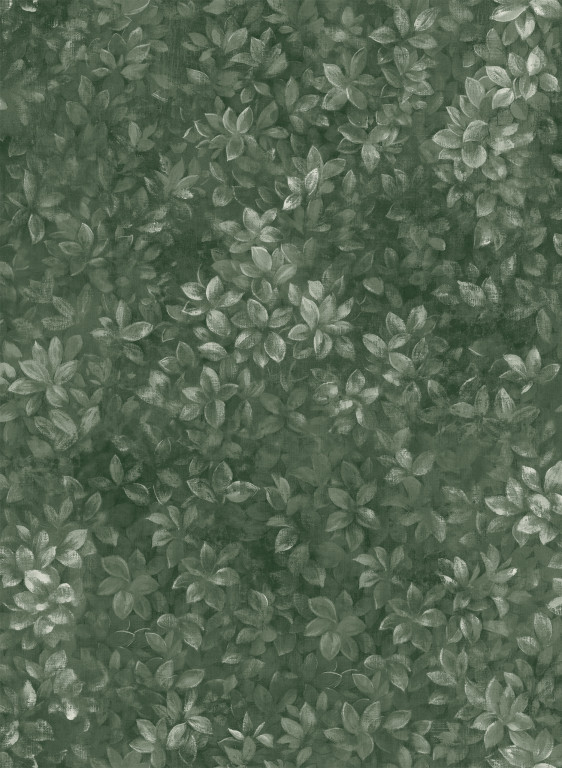 Coordonne Carta da parati Marta - Pino-9363.3 Coordonne Carta da parati Marta - Pino-9363.3