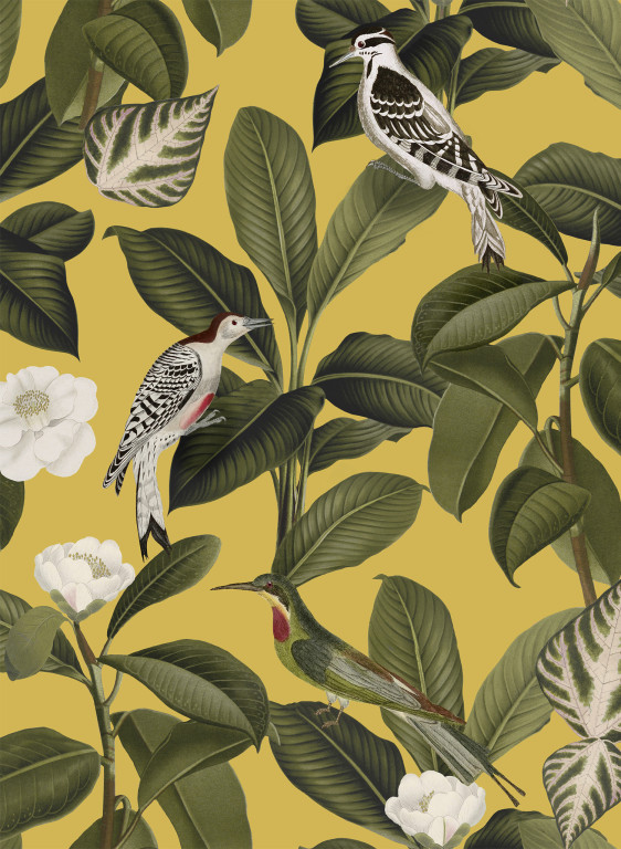 Coordonne Papier peint Rocio-9366 Coordonne Papier peint Rocio-9366