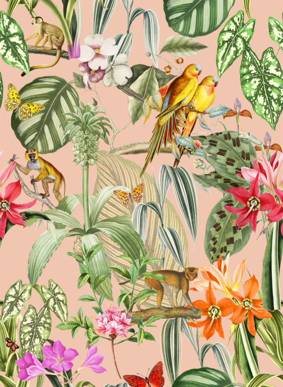 Coordonne Tapete Parrots - Melocoton-9504.2