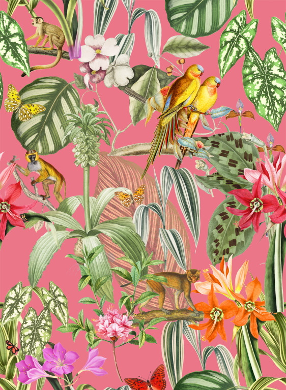 Coordonne Tapete Parrots - Rosa-9504.3