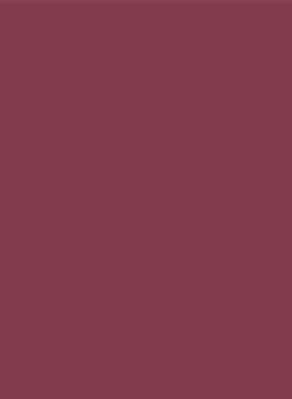 Sanderson Active Emulsion - 2,5l - Wild Plum Lt. 96-SAE.96.M Sanderson Active Emulsion - 2,5l - Wild Plum Lt. 96-SAE.96.M