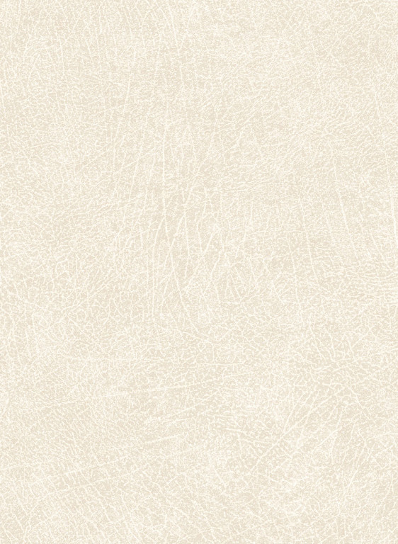 Eijffinger Wallpaper Unify 5-9741