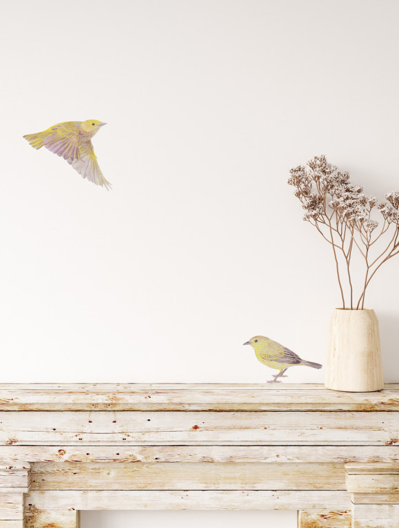 Sian Zeng Wandsticker Warbler Bird-9762 Sian Zeng Wandsticker Warbler Bird-9762
