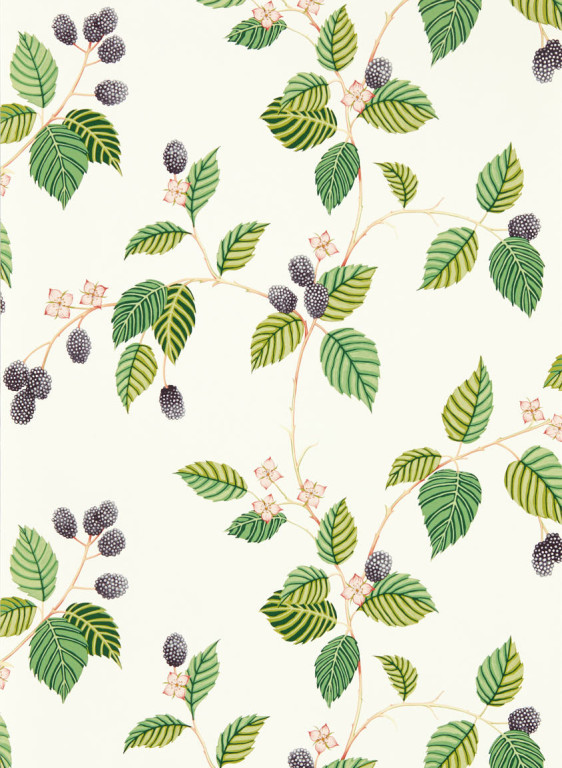 Sanderson Tapete Rubus-9793 Sanderson Tapete Rubus-9793