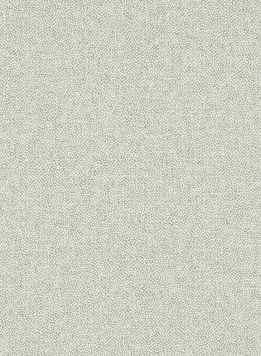 Sanderson Carta da parati Sessile Plain-8153 Sanderson Carta da parati Sessile Plain-8153