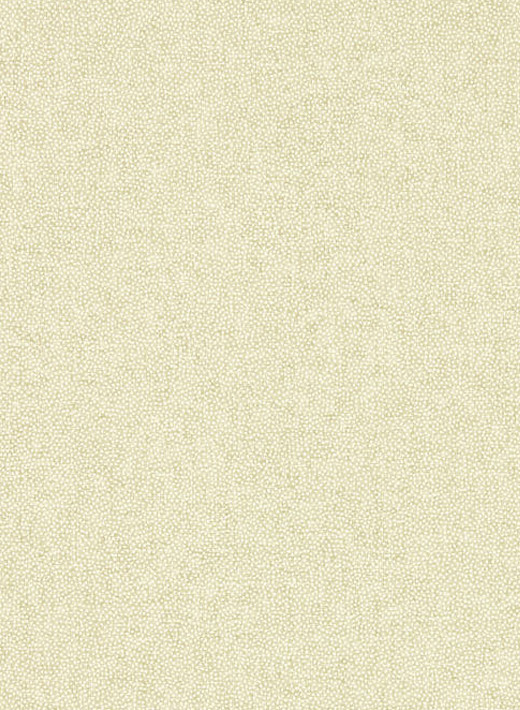 Sanderson Tapete Sessile Plain - Birch/ Multi-8153.3 Sanderson Tapete Sessile Plain - Birch/ Multi-8153.3