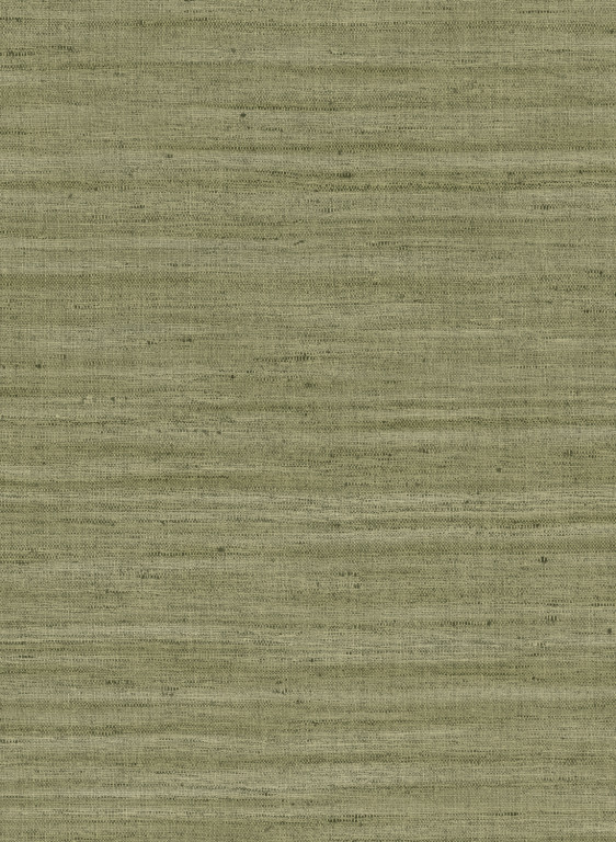Arte International Wallpaper Lignes - Olive-9903.5