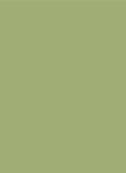 Sanderson Active Emulsion - 2,5l - Artichoke-SAE.A.M Sanderson Active Emulsion - 2,5l - Artichoke-SAE.A.M