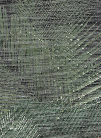 Tropische Palmen Tapete Shield von Arte - Grün-2504.1 Tropische Palmen Tapete Shield von Arte - Grün-2504.1