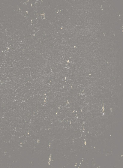 terrastone original fein - Musterkarte - Beton Standard-tsfmk.KB3 terrastone original fein - Musterkarte - Beton Standard-tsfmk.KB3