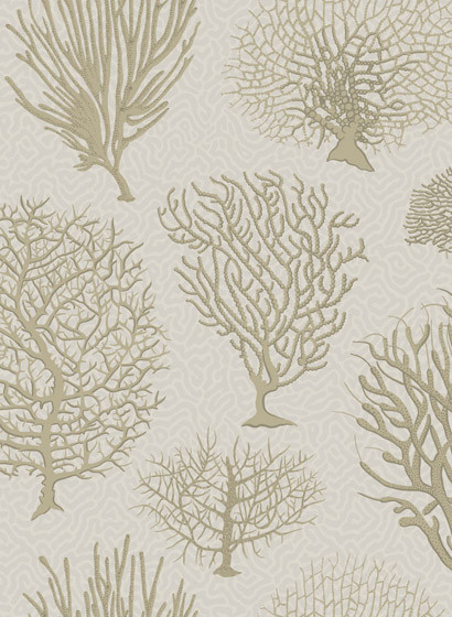 Tapete Seafern von Cole & Son - Stone-2507.1 Tapete Seafern von Cole & Son - Stone-2507.1